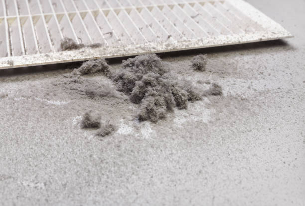 Best Home Air Vent Cleaning  in Brownsville, KY