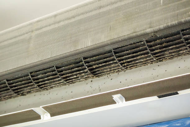Best Commercial HVAC Duct Cleaning  in Brownsville, KY